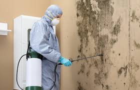 Best Comprehensive Air Testing for Mold Contaminants  in Delevan, NY